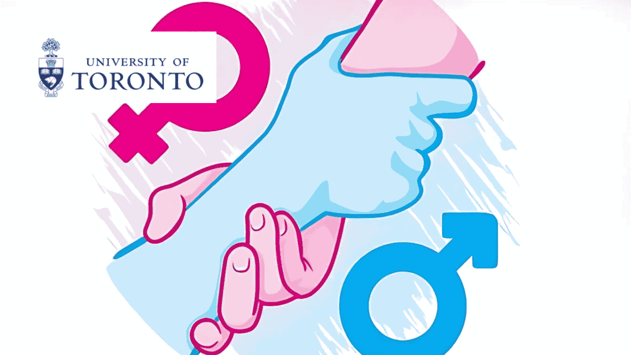Gender Analytics: Gender Equity through Inclusive Design | RiseUpp