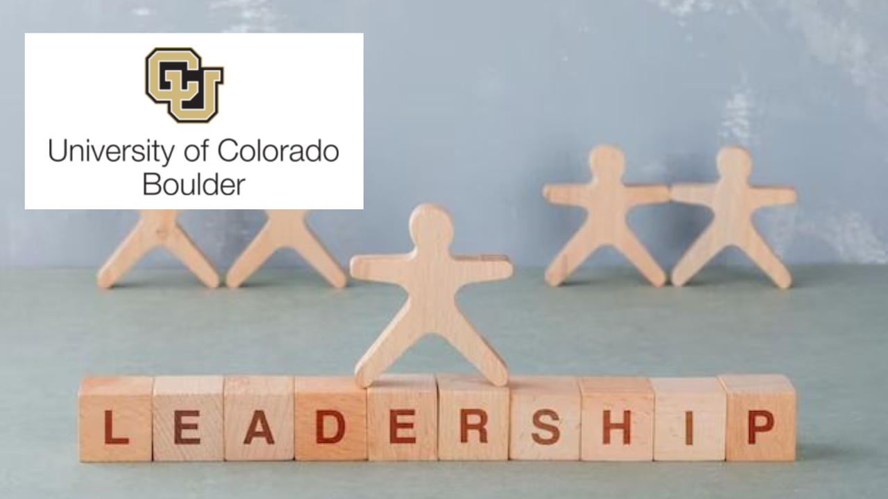 Leadership Style and Building a High-Performance Team