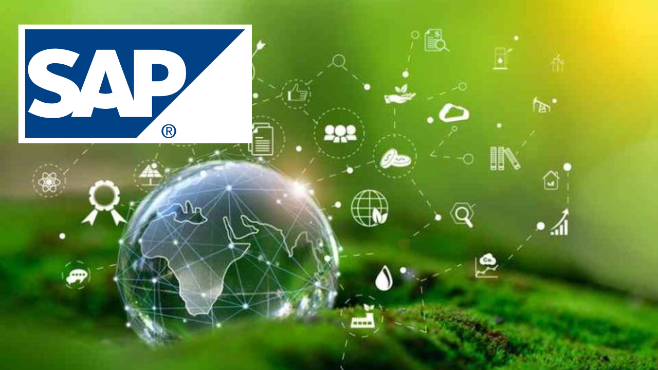 Understanding the Enterprise Systems Environment