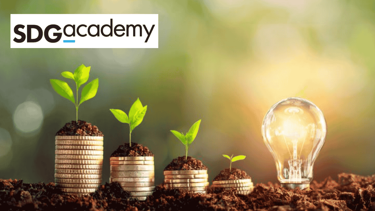 Course: Foundations of Sustainable Development | RiseUpp