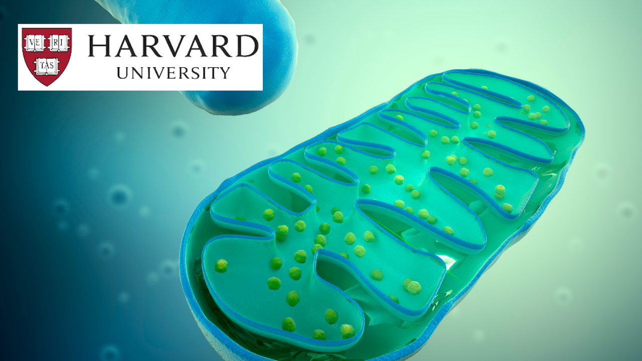 Cell Biology: Mitochondria